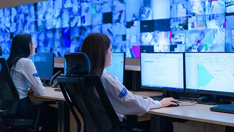24/7 Professional Monitoring Integration