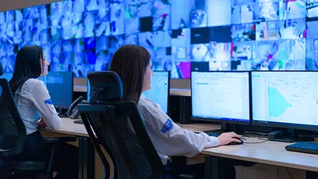 24/7 Professional Monitoring