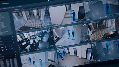 Video Verification